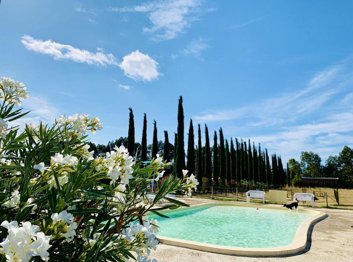 Casa In Maremma Tuscany Village Scarlino Exteriör bild